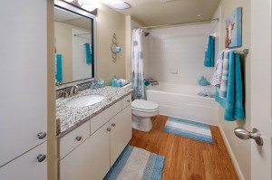 Two Bedroom Apartments for Rent in Conroe, TX - Model Bathroom (2)